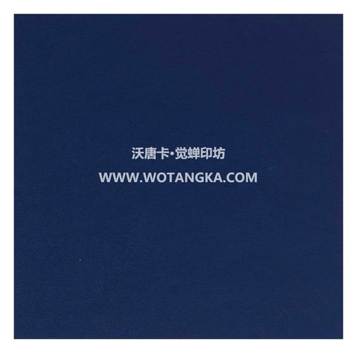 沃唐卡·觉蝉印坊装裱卡纸 MAT0105 蓝色 实物纹理图