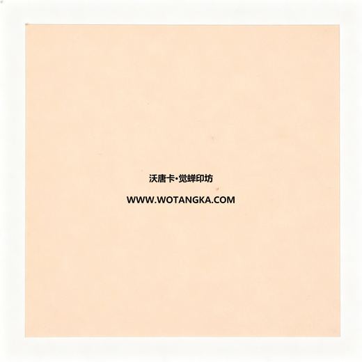 沃唐卡·觉蝉印坊装裱卡纸 MAT0124 天鹅绒纹·米杏色 实物纹理图