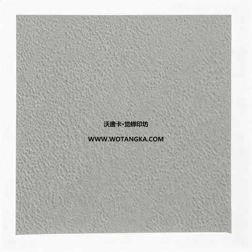 沃唐卡·觉蝉印坊装裱卡纸 MAT0125 细砂皮纹·浅灰色 实物纹理图