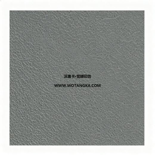 沃唐卡·觉蝉印坊装裱卡纸 MAT0126 细砂皮纹·深灰色 实物纹理图