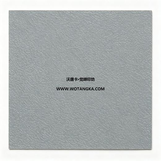 沃唐卡·觉蝉印坊装裱卡纸 MAT0128 细虫皮纹·浅灰色 实物纹理图