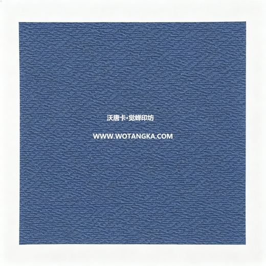 沃唐卡·觉蝉印坊装裱卡纸 MAT0140 细水皮纹·宝蓝色 实物纹理图