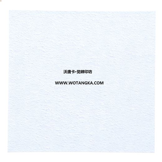 沃唐卡·觉蝉印坊装裱卡纸 MAT0147 磨砂皮纹·浅蓝白色 实物纹理图